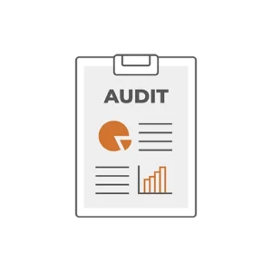 nrv picto analyse et stratégie audit stratégique interne
