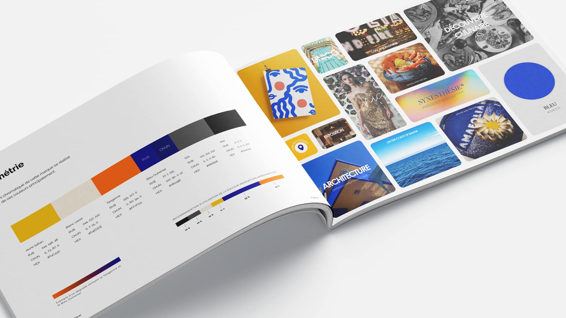 network_reach_visibility-charte_graphique04-Amafolia