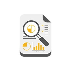 nrv identité visuelle timeline picto audit client