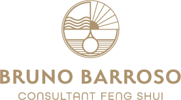 Bruno Barroso logo