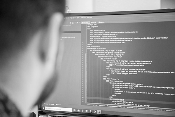network reach visibility développement code php html